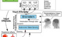 Non-Invasive Vagus Nerve Stimulation for Post-Traumatic Stress Disorder (PTSD) Management